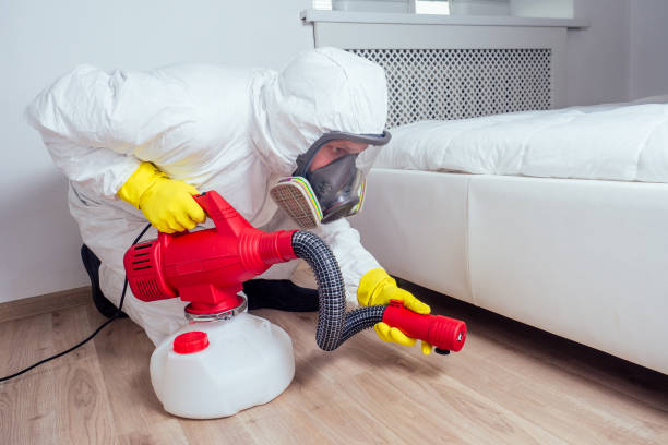 Emergency Pest Control Services in Bradley, IL